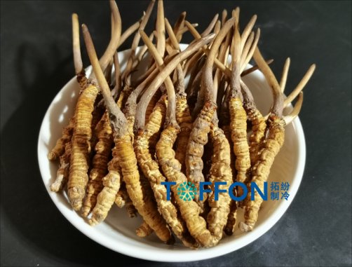 ? 中药材冷冻干燥机应用案例解析(二)